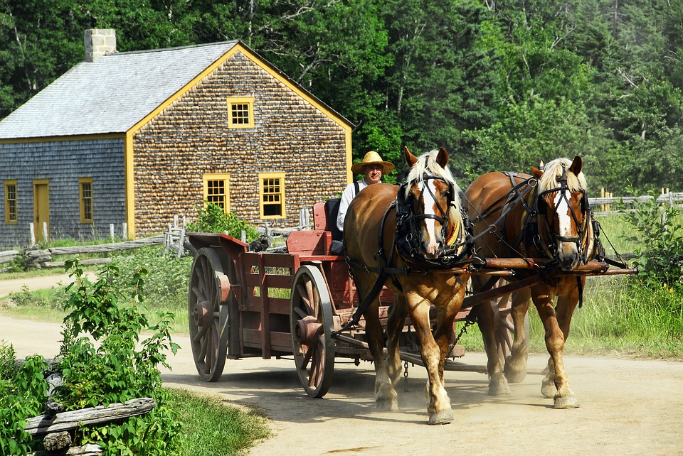 New Brunswick — Horse-drawn cart at heritage village