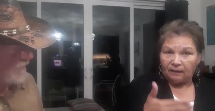 Turtle Island — Indigenous peoples discussion on constitutional conventions